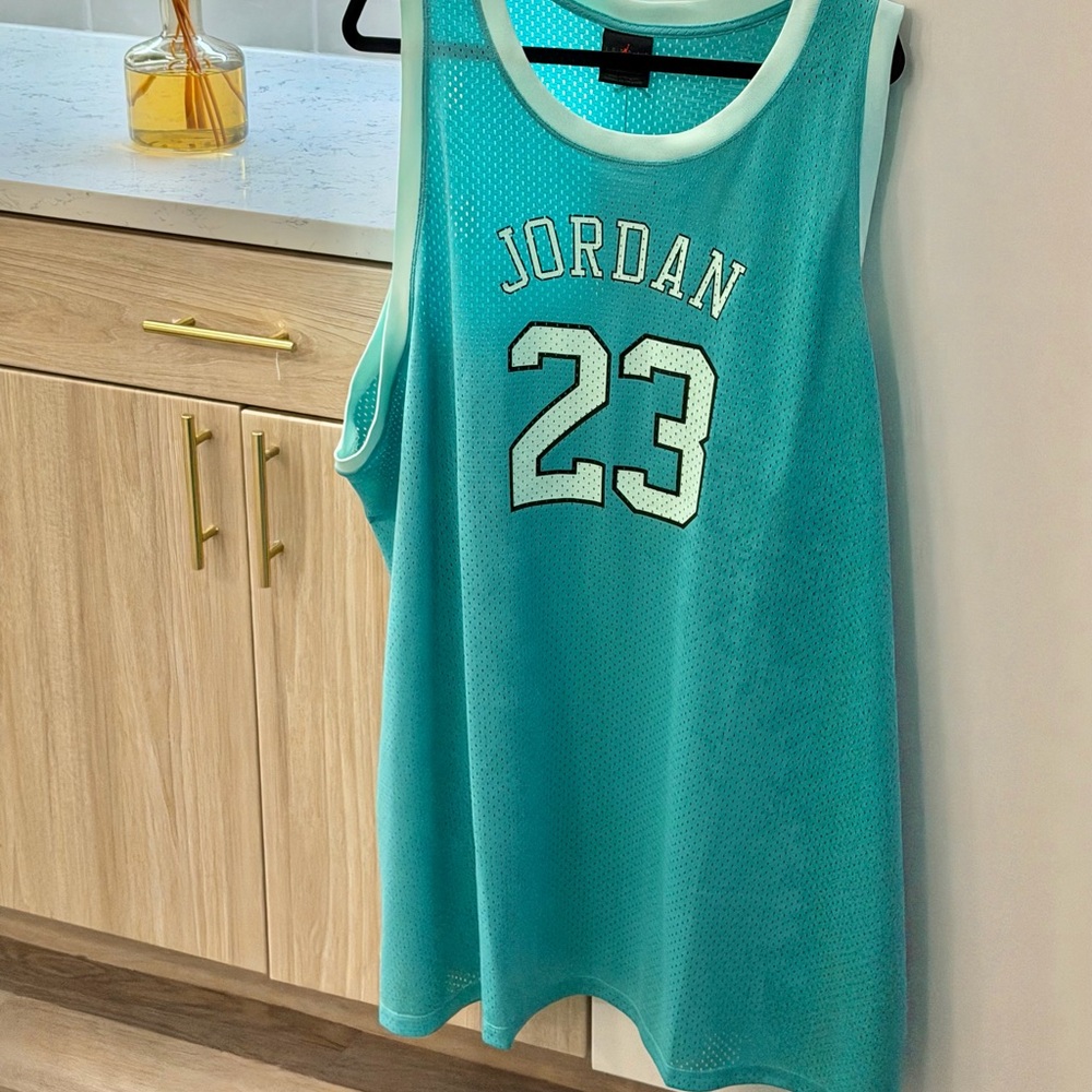 Women Jordan Teal and White Apparel Shirt Dress
